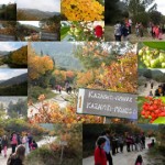 2011-11-12_sm