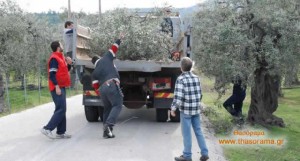 Κάλεσμα του Πολιτιστικού Συλλόγου Σωτήρος για τον καθαρισμό του χωριού.