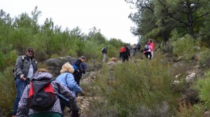 Περιβαλλοντική Κίνηση Θάσου.