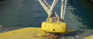 demena_ploia2_667_355