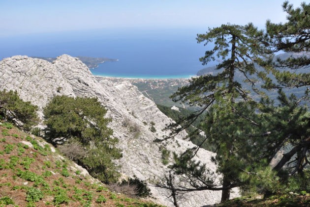 thasos-5