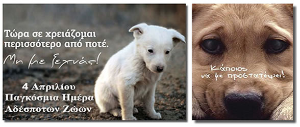 World_Stray_Animals_Day-top