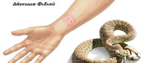 dagkwmafidiou-620x330