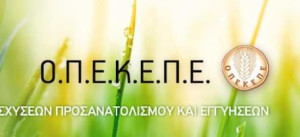 ΟΠΕΚΕΠΕ-ΘΑΣΟΣ