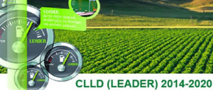 leader_clld._2014_2016